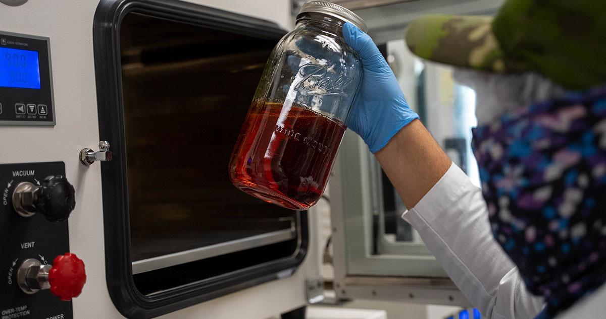 Cannabis Testing in Florida