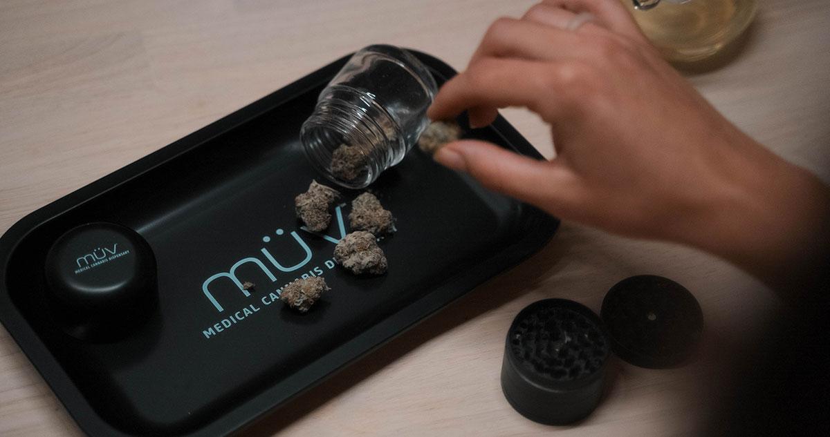 New Cannabis Strains at MÜV FL