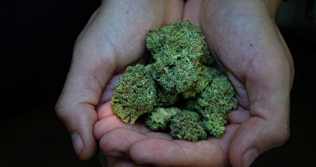 Patient Driven Cannabis Savings